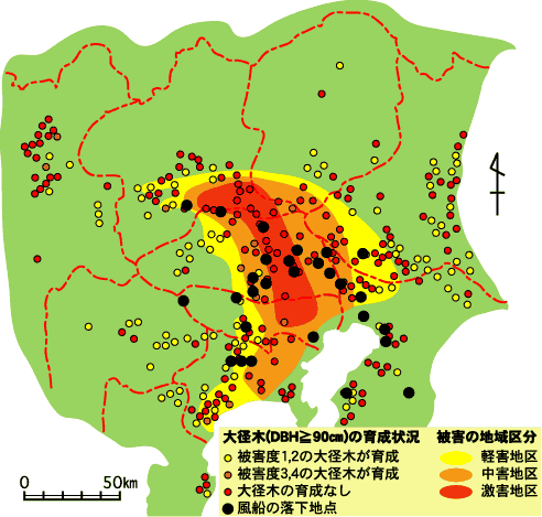 関東甲信地方におけるスギ大径木の枯損状況(梨本他、1990年)